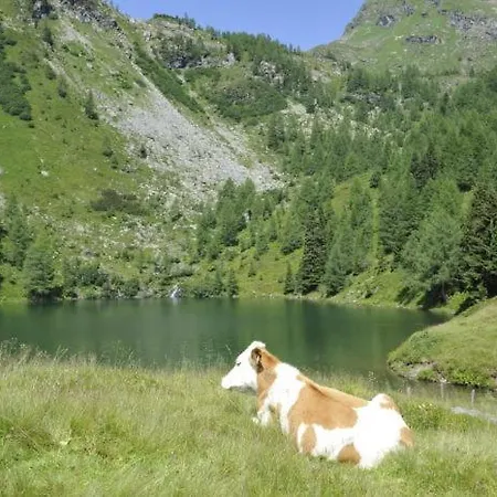 Ferienhuette Hoitahuettl Lodge *