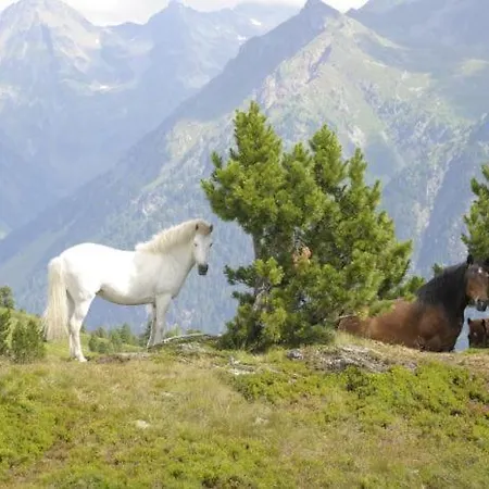 Ferienhuette Hoitahuettl Lodge Hinterweisspriach