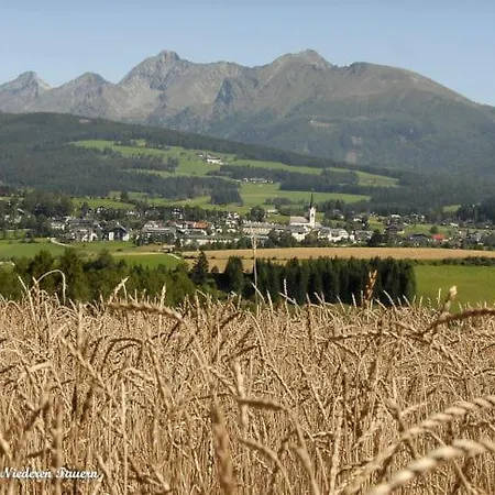 Almhuette Halterhuette Hytte