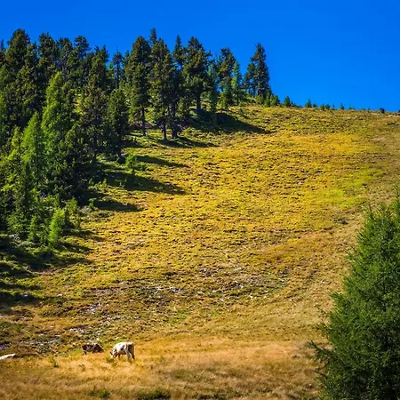 Ferienhuette Hoitahuettl *