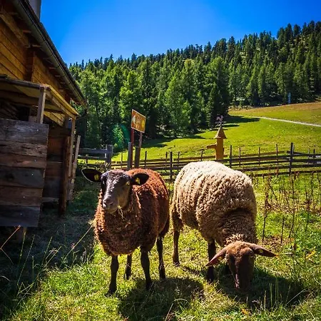 Ferienhuette Hoitahuettl Lodge *